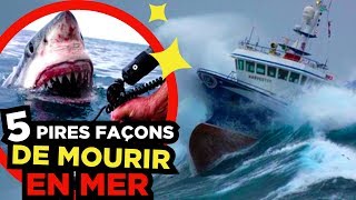 5 DANGERS TERRIFIANTS en MER 🐬 [upl. by Nette]