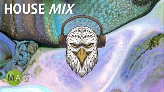 Upbeat Study Music House Mix for Deep Focus  Isochronic Tones [upl. by Noxas]