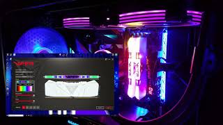 Viper RGB RAM  Lighting Guide [upl. by Ahsyekal]