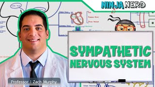 Neurology  Sympathetic Nervous System [upl. by Arocahs186]