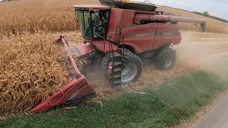 Neighborhood Rides in a CASE IH 7230 AxialFlow Combine  Start of Corn Field  Harvest 2020  5K [upl. by Eednyl]