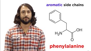 Amino Acids [upl. by Roselane]