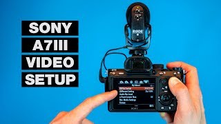 How to Setup Your Camera for Video — Sony A7III Tutorial [upl. by Debo]