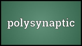 Polysynaptic Meaning [upl. by Millhon]