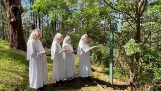 The Sisters pray the Stations of the Cross at Mount Schoenstatt Mulgoa [upl. by Naujal217]