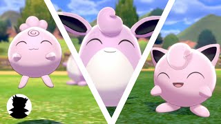 【Pokemon Camp】Igglybuff・Jigglypuff・Wigglytuff＆Shiny Cute Song [upl. by Eppie]