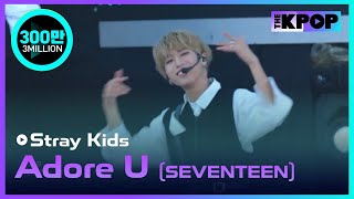 Stray Kids Adore USEVENTEEN Jeju hallyu Festival 2018 [upl. by Suravart672]