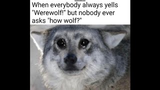 furry memes that say awoo [upl. by Henrion33]