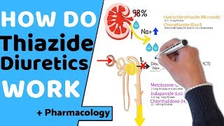 How do Thiazide Diuretics Work  Pharmacology [upl. by Oir]