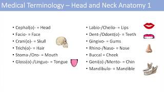 Medical Terminology  Lesson 6  Anatomy and Anatomical Terms [upl. by Ennis449]