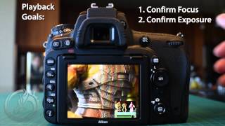 Nikon D750 Recommended Settings amp Tips [upl. by Resaec]