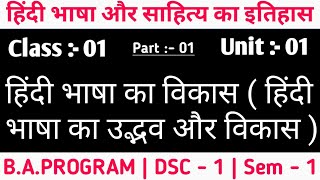 Hindi हिंदी भाषा और साहित्य का इतिहास  DU 1st year Class01  Hindi 1st year DU SOL BAPROGRAM [upl. by Gustav992]