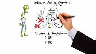 Pharmacology  ADRENERGIC RECEPTORS amp AGONISTS MADE EASY [upl. by Prosper]