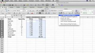 How to Put a Price in Excel  MS Excel Tips [upl. by Lucie695]