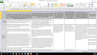 How to Create a Literature Matrix Excel [upl. by Alyakcim746]