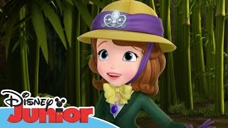 Sofia the First  Stronger Than You Know  Official Disney Junior Africa [upl. by Anaynek]