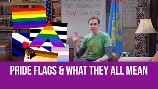 Pride Flags and What They All Mean [upl. by Piane]