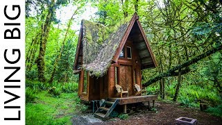 Enchanting Cabin In The Forest [upl. by Volkan]