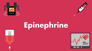 Epinephrine  Vasopressors amp Inotropes  MEDZCOOL [upl. by Jos77]