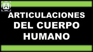 Articulaciones del cuerpo Humano [upl. by Klepac]