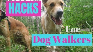 7 MAJOR Hacks for DOG WALKERS [upl. by Enila559]