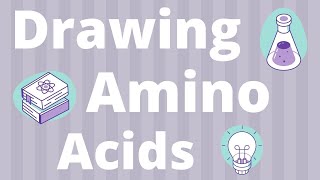 How to draw amino acids and peptide bonds to make a protein [upl. by Kcub]