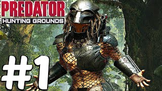 PREDATOR HUNTING GROUNDS  Gameplay Walkthrough Part 1  FULL BETA PS4 PRO [upl. by Flower880]