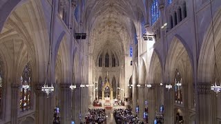 Restoring St Patricks Cathedral [upl. by Darci]