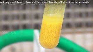 Chemical Tests for Chloride  MeitY OLabs [upl. by Halivah263]