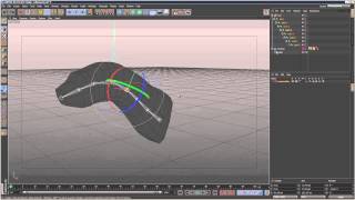 Cinema4D Tutorial Intro to Joints and Skinning Beginner [upl. by Spector557]