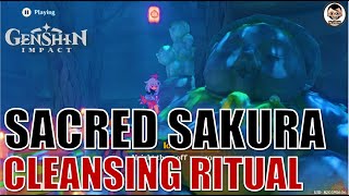 Complete Guide Cleansing Defilement  Sacred Sakura Cleansing Ritual Part1  Genshin Impact [upl. by Zulaledairam]