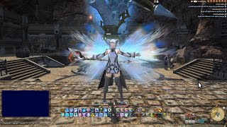 FFXIV  WHM Transformation Macro [upl. by Torr]