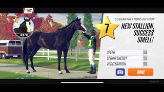 Rival Stars Horse Racing How to breed black horses  road to level 20 Mobile Edition [upl. by Notgnilliw]