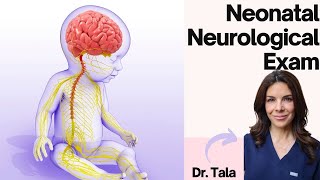 How to perform the NEURO exam on a baby HeadtoToe CNS evaluation [upl. by Ociredef]