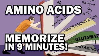 Memorize the 20 Amino Acids in 9 Minutes [upl. by Shotton]