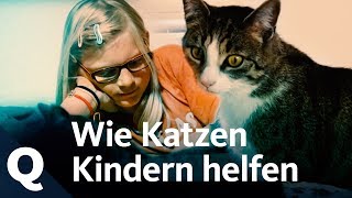 Katzen helfen traumatisierten Kindern  Quarks [upl. by Ierdna]