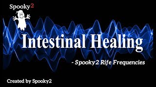 Intestinal Healing  Spooky2 Rife Frequencies [upl. by Shaum]