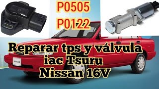 Problemas de tps y iac de Tsuru Nissan 16V [upl. by Nnaeirrac]