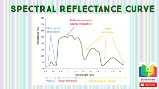 REMOTE SENSING  SPECTRAL REFLECTANCE CURVE [upl. by Ailic]