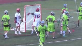 Best Lacrosse Cellies [upl. by Boyer]