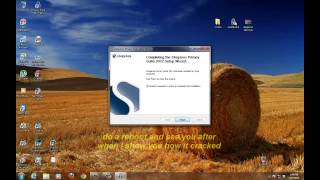 how to install steganos 2012 full [upl. by Pelletier]