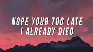 wifiskeleton  nope your too late i already died Lyrics [upl. by Hoy525]