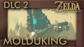 Zelda Breath of the Wild  Champions Ballad Molduking Location [upl. by Assirrak851]