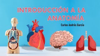 ¡INTRODUCCIÓN A LA ANATOMÍA HUMANA [upl. by Alessandra599]