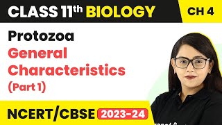 Protozoa General Characteristics Part 1  Animal Kingdom  Class 11 Biology Chapter 4 NCERTCBSE [upl. by Uzzia]