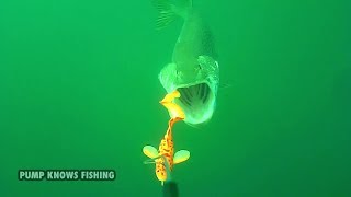 Savage Gear 3D Burbot in Action  Pike Fishing Waterwolf Underwater Footage [upl. by Irpac]