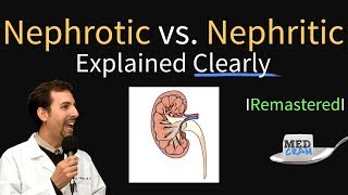 Nephrotic vs Nephritic Syndrome Proteinuria Hematuria Casts [upl. by Corine]