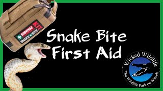 Snake Bite First Aid  How To Treat A Snakebite [upl. by Esoranna]