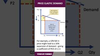 Price Elastic Demand  60 Second Economics  ALevel amp IB [upl. by Salvidor954]