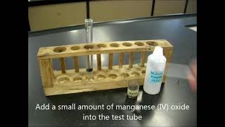 Testing for Gas  Oxygen Gas [upl. by Brote]